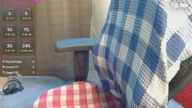 punemodel