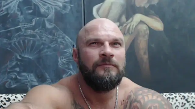 viking_30