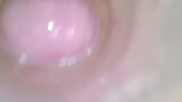 karol_stom live cam on StripChat