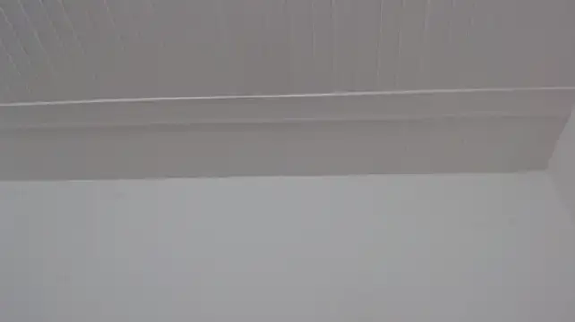 ElizabethMiler