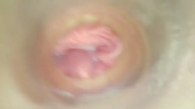 karol_stom
