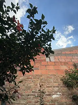 Emily_Gomezz webcam