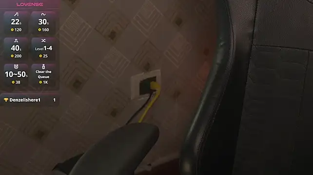 ImaraBrown webcam