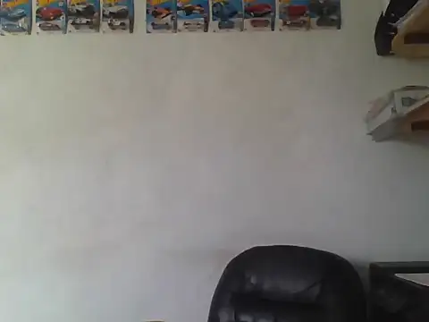 coronel5002 webcam