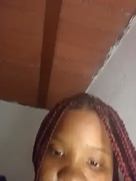 alexa_paloma2