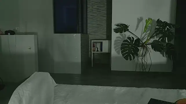 grey___27