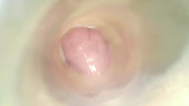 karol_stom