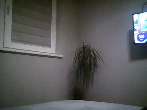 FallingAnswer56 live cam on StripChat