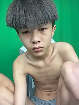 DD-101 webcam