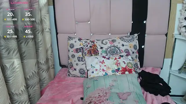 palmer_mIix webcam