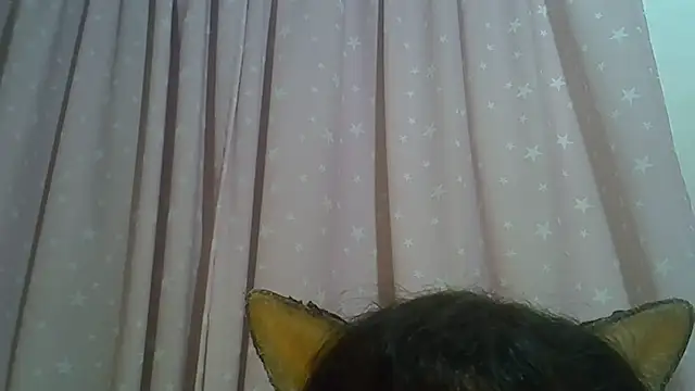 SkinnyKitten live cam on StripChat