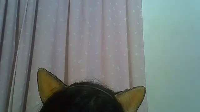 SkinnyKitten