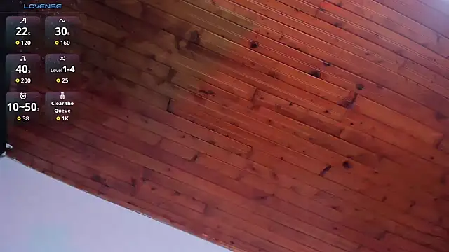 VIOLET_19XXX webcam