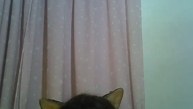 Modelo: SkinnyKitten