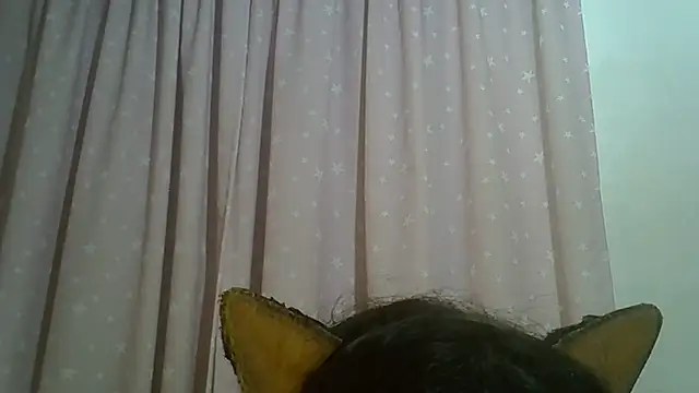 SkinnyKitten webcam
