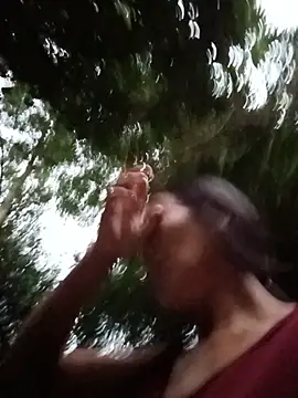 toyo_668