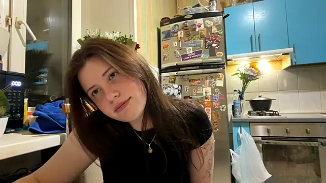 Mellamixsic webcam