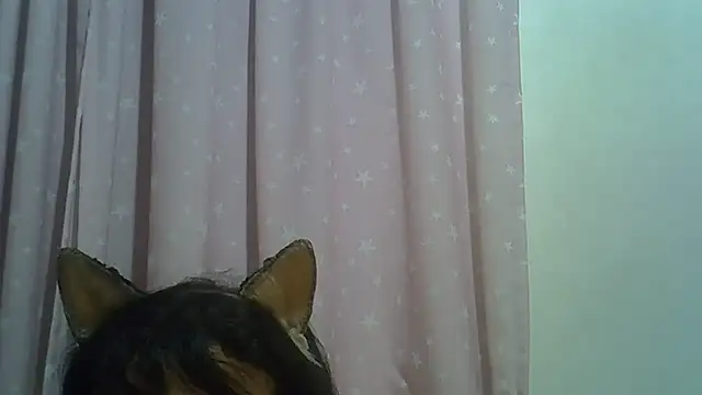 SkinnyKitten