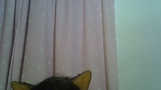 SkinnyKitten