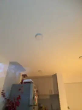 Annabrooks_1