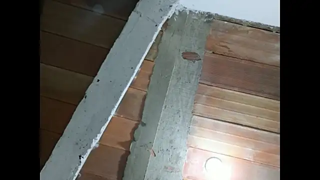 Cataleya_ja