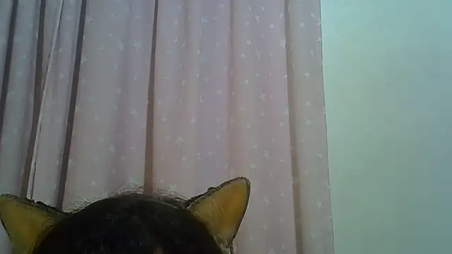 SkinnyKitten webcam