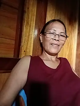 toyo_668 webcam