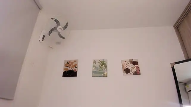 Walton_abieca_ webcam