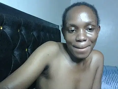 Pixieluck webcam