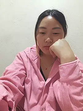 he-se-kin webcam