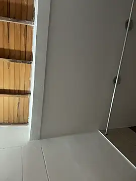 vanneskk's live room
