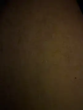 Mar9978