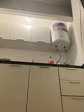 birddss