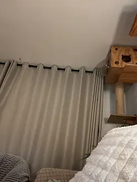 missani webcam