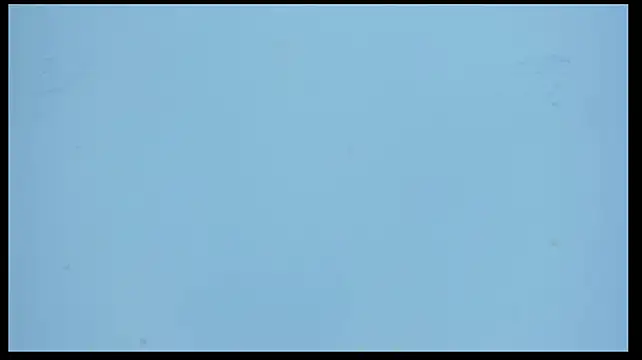MiaVervet webcam