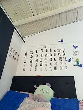 Milleradhara24 webcam