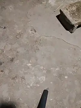 doggy-00