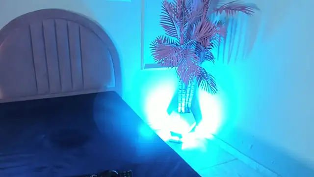 Nalapalmer