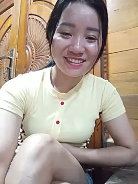 Td3di webcam