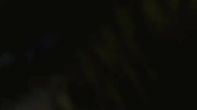 Keily_Tsx1