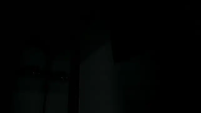 LionBlackk