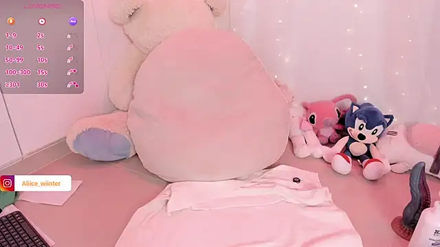 Alice_winter_ webcam