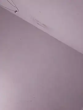 sexycock-hard