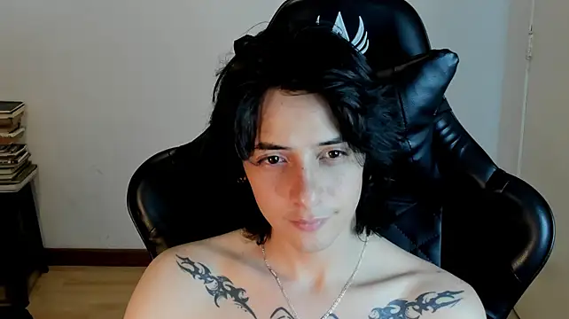sai_l01 webcam