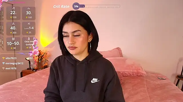 arye_lle webcam