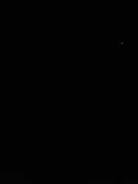 Nes---77 webcam