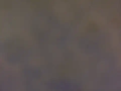 tastytiffy01 webcam