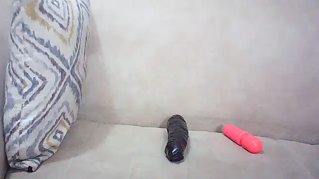 Foxxy-e webcam