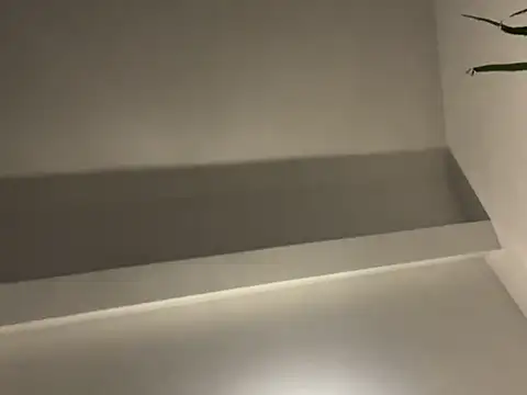 hamstiboy55 webcam