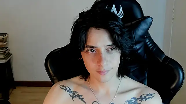 sai_l01